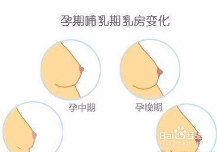 孕妇内衣尺码怎么选择，挑选方法有哪些？