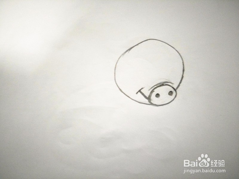 简笔画—卡通猪的画法