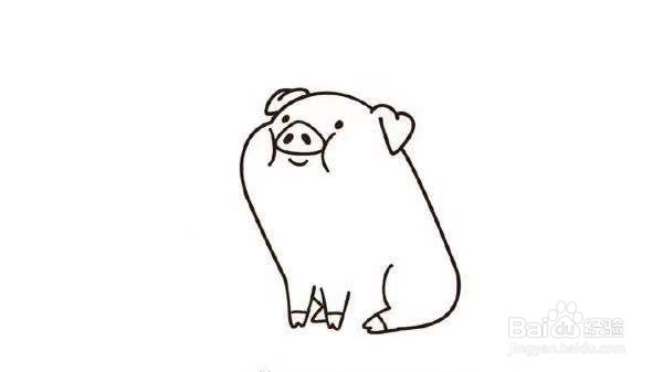 小猪的简笔画教程