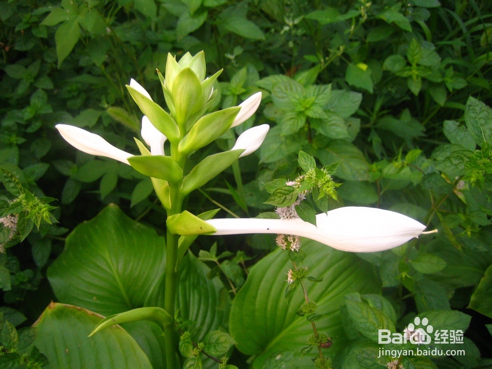 孩子的教育是潜移默化的