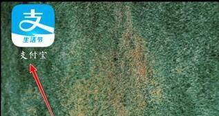 applemusic自动扣款怎样能退款