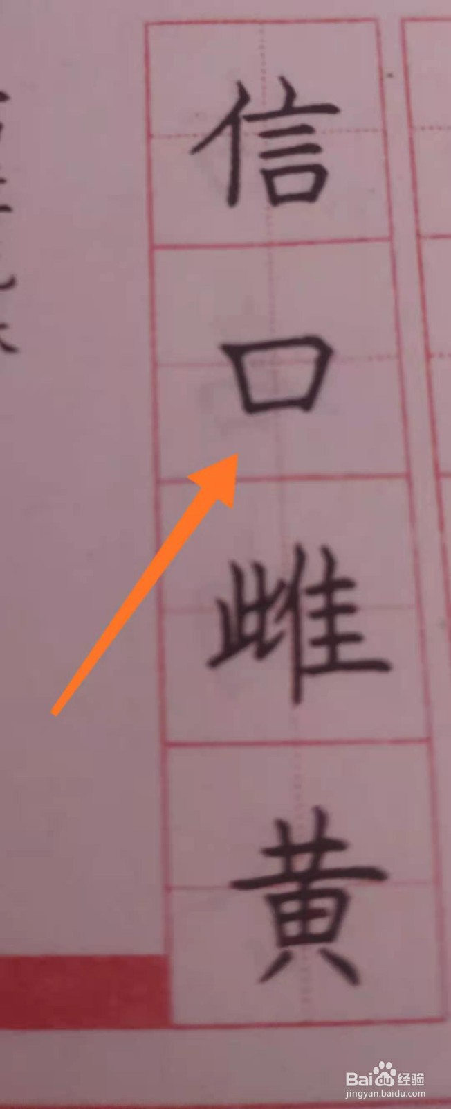 口怎么占格田字格
