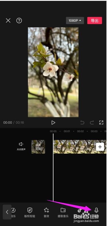 剪映APP怎么给视频加配音
