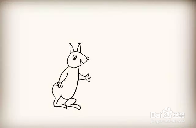 简笔画怎么画可爱小松鼠？