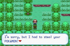 口袋妖怪圣灰攻略图片5