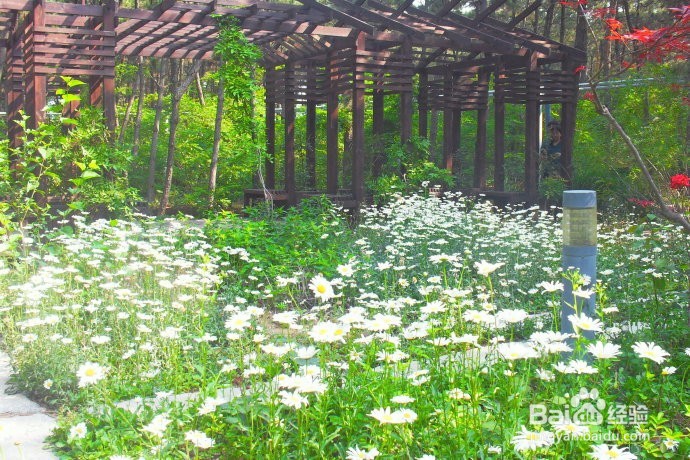 威海的免费景点第二波