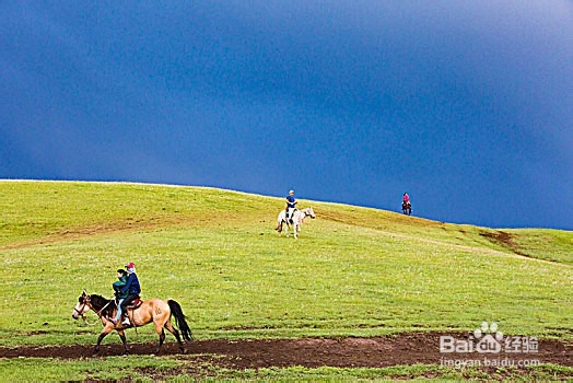 如何训练让马儿不紧张僵硬