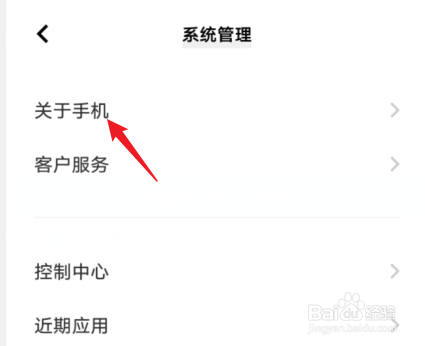 vivo怎么打开开发者模式
