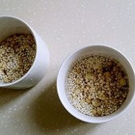 不点外卖184--稷莲米枣红花生