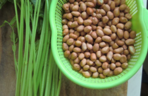 好吃的花生拌芹菜