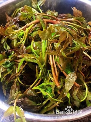 拌香椿的做法攻略