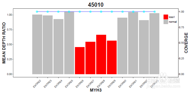 遗传病诊断如何一次检出全部大中小三类变异?
