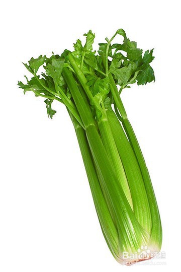 冬天蔬菜怎么储存