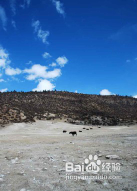 摄影构图的十大禁忌