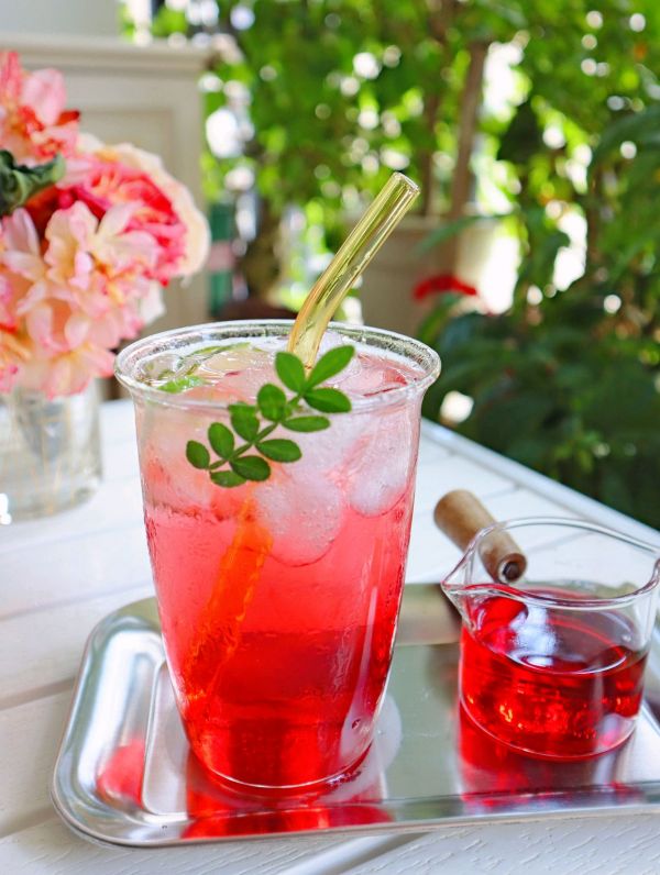 冰爽解腻蔓越莓气泡水