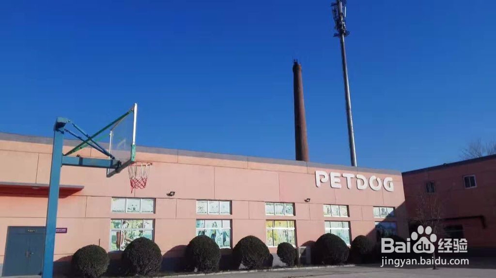 如何分辨宠物美容学校的好坏