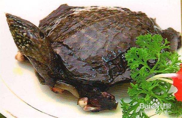 孕期早期不要吃的一些家常菜