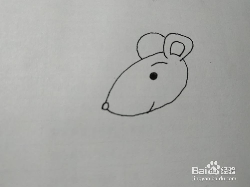 老鼠的简笔画怎么画?