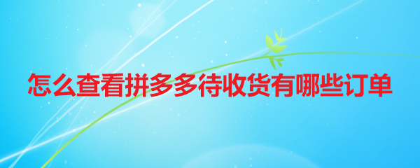 怎么查看拼多多待收货有哪些订单