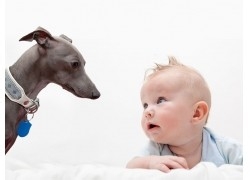 孕早期饮食原则