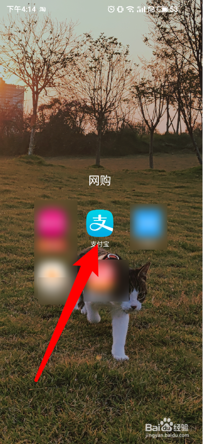 怎么在手机支付宝缴医保