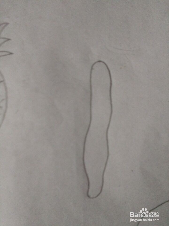 丝瓜简笔画怎么画