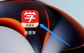 希望学怎样进行诊断