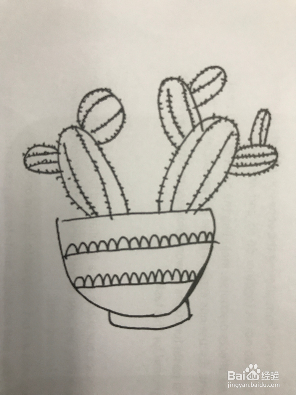 怎样画清新仙人掌简笔画