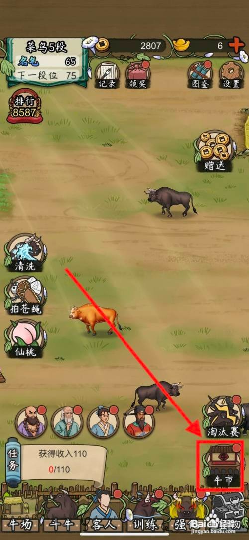 叫我养牛王如何购买爱舔鼻子的大黑牛