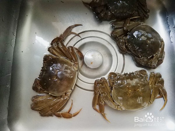 美味的香辣大闸蟹