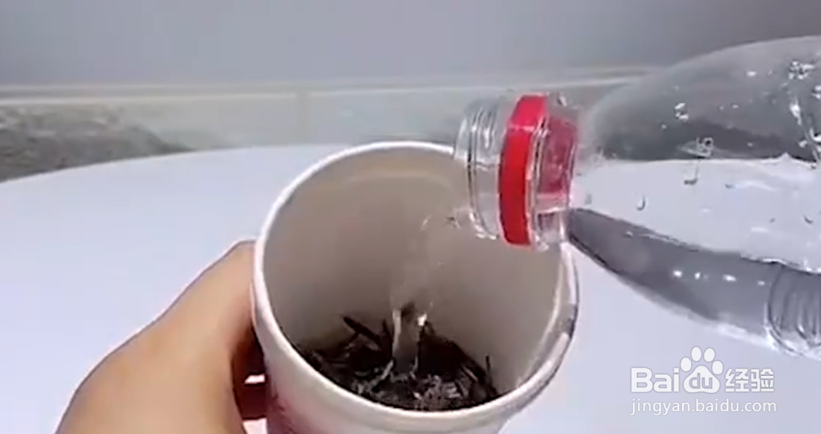 如何自制植物驱虫液？