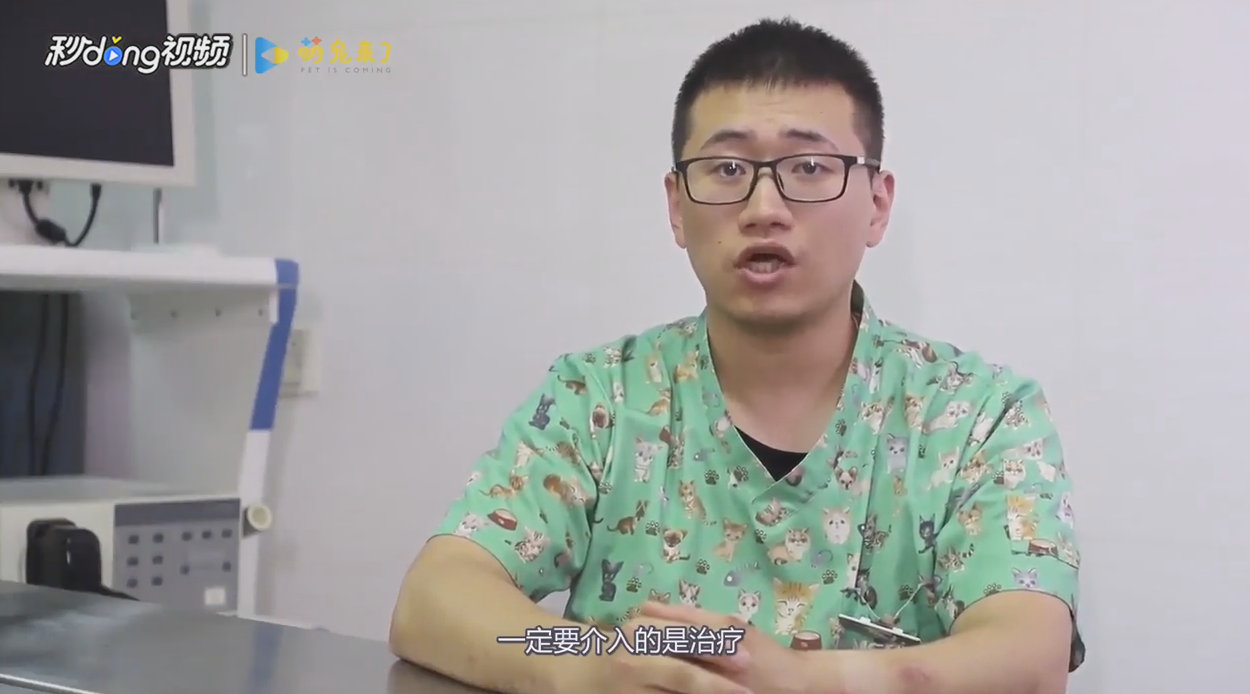 猫感冒了如何自己痊愈