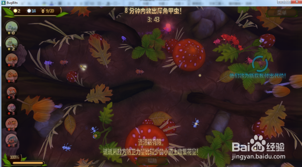虫虫大作战—营救犀角甲虫攻略