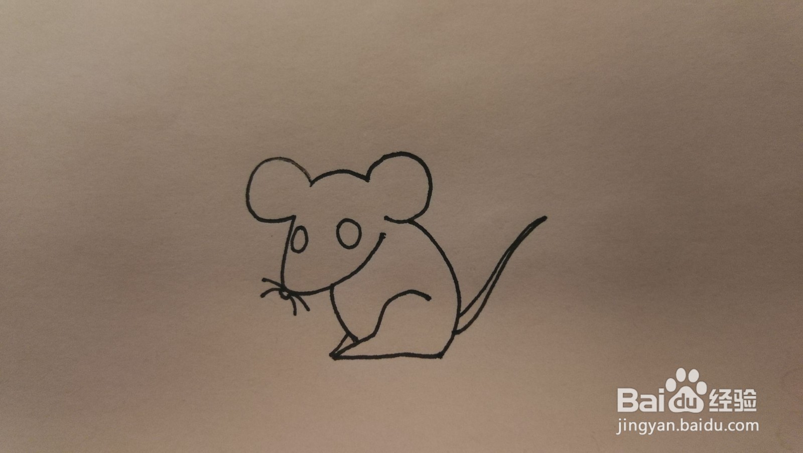 #经验分享官#老鼠简笔画
