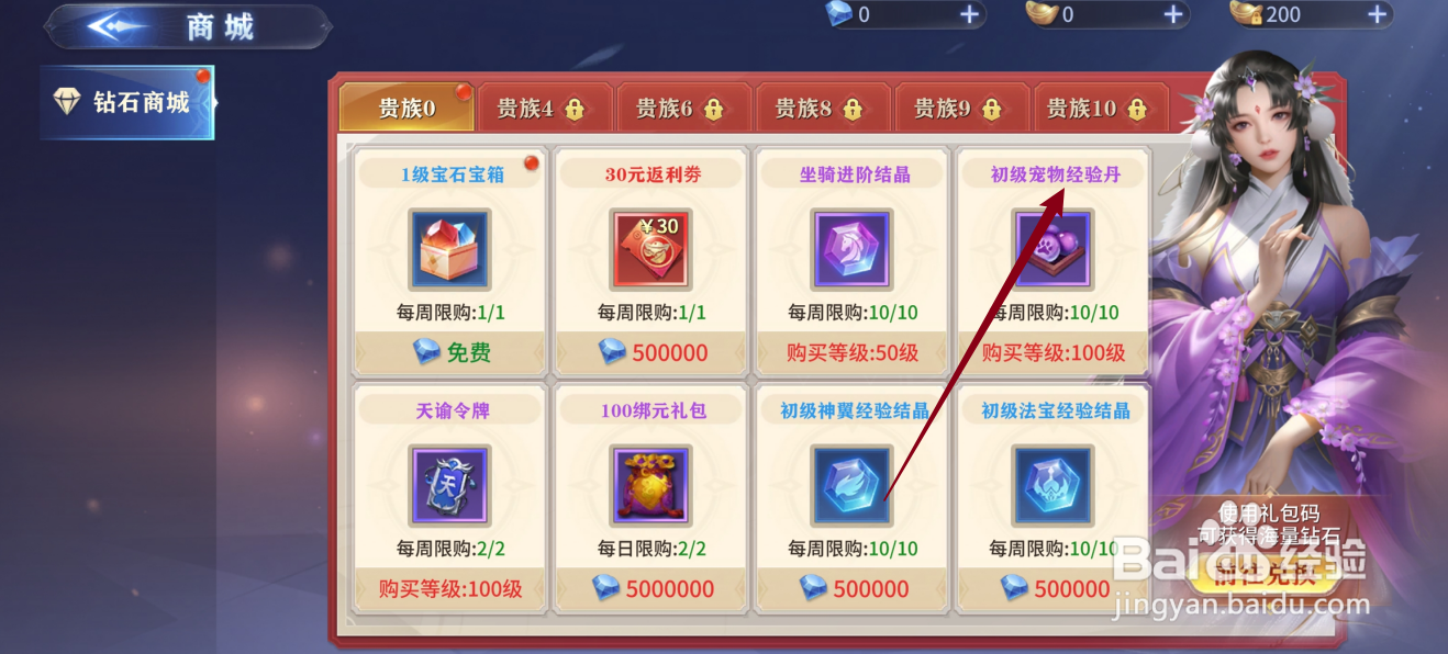 仙魔尘缘如何购买【初级宠物经验丹】