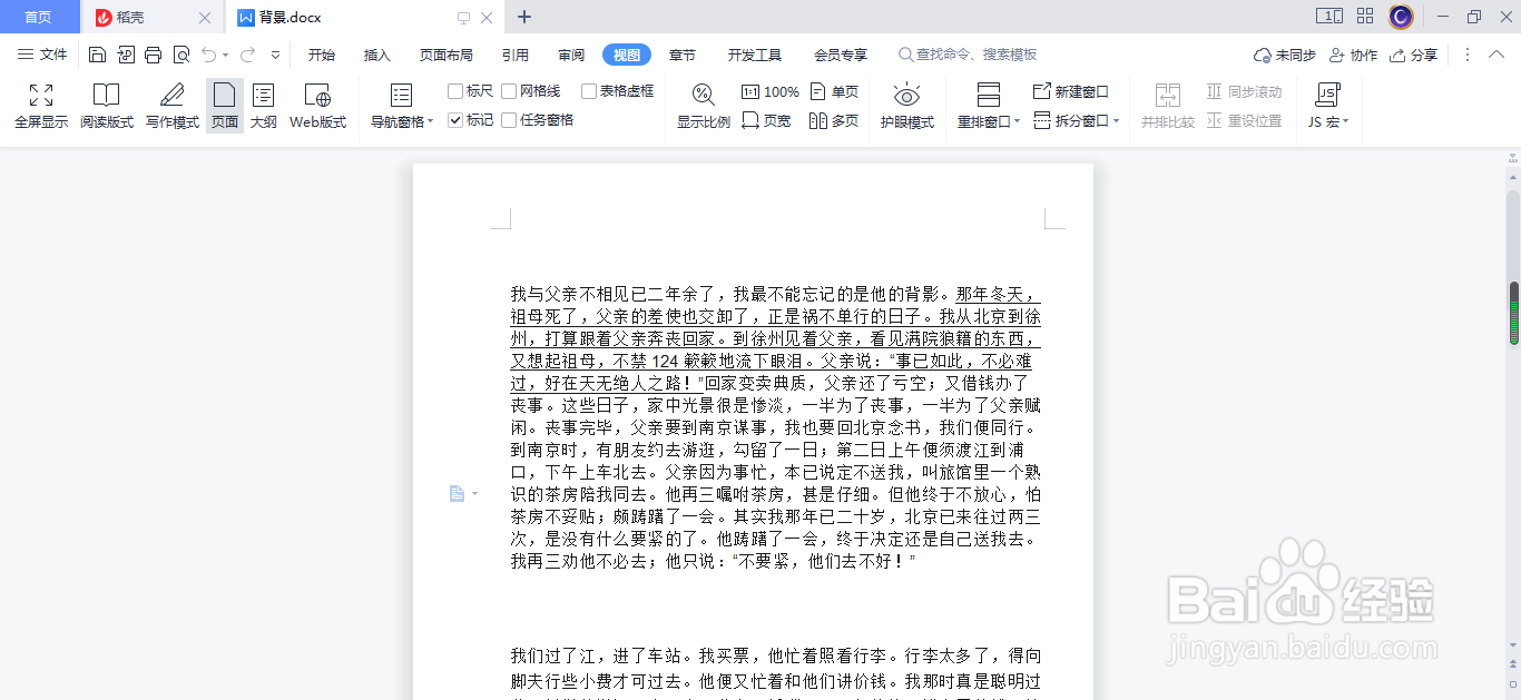 WPS（Word）怎么开启web版式呢