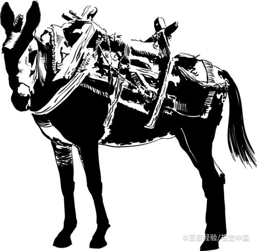 骡子不能生育为什么没灭绝