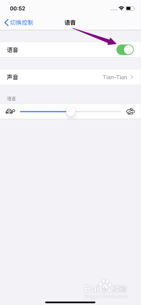 iphone11怎么开启切换控制语音