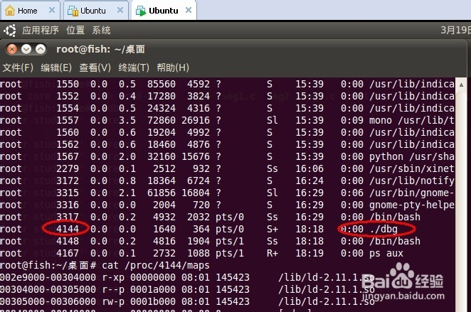 ubuntu学习之：[3]进程在系统内存中的布局
