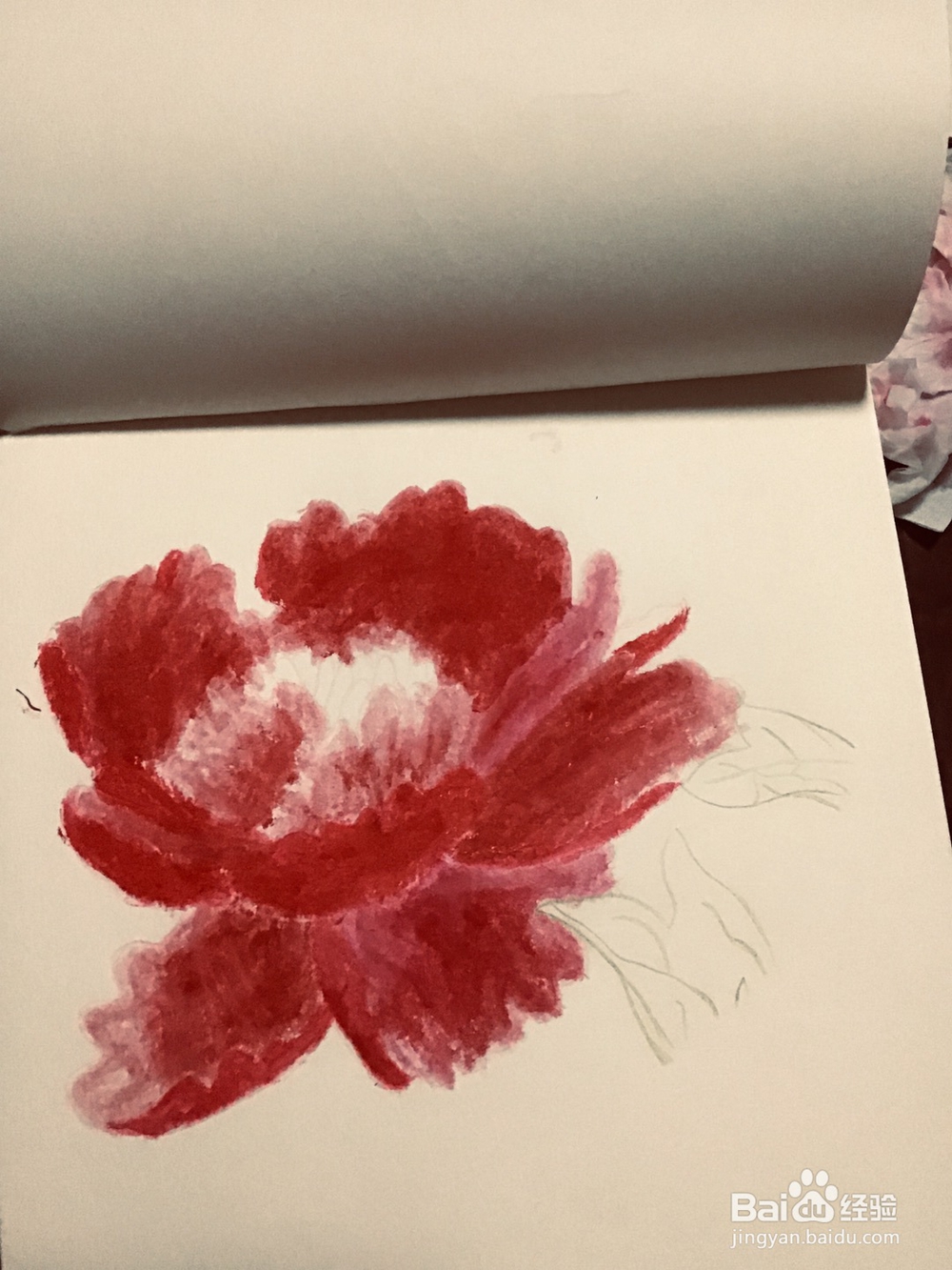 姐姐手绘的牡丹花