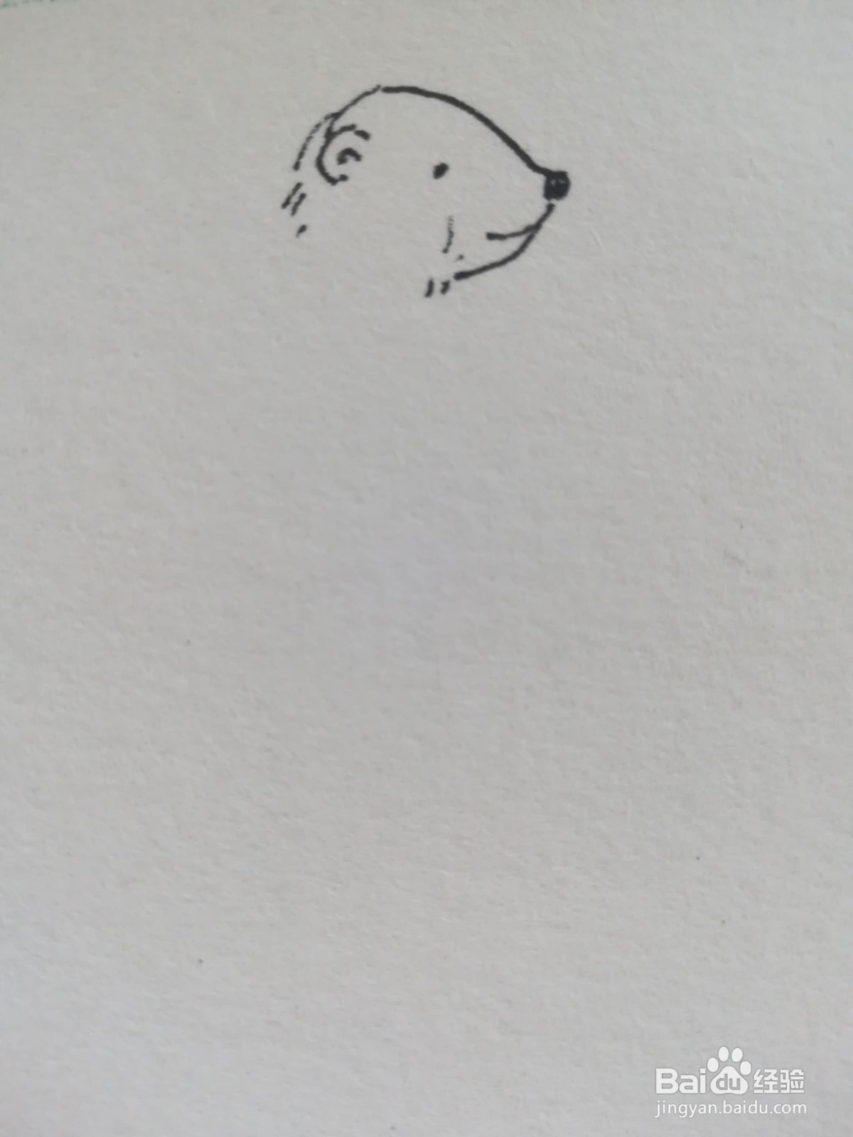 怎么画奔跑的北极熊