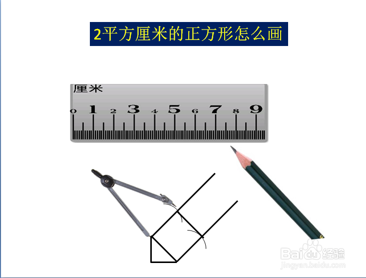 2平方厘米照片图片