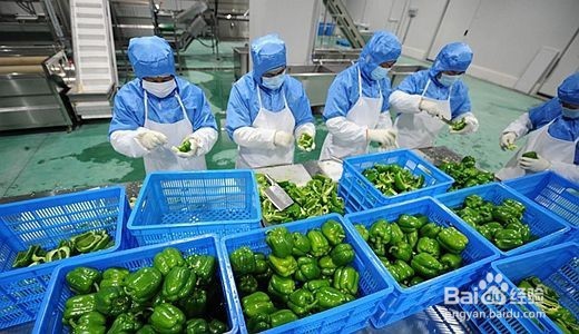 如何看待身边越来越红火的社区团购