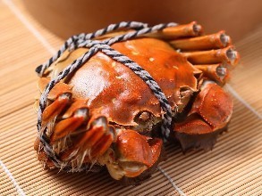 苏州阳澄湖吃大闸蟹的旅游攻略