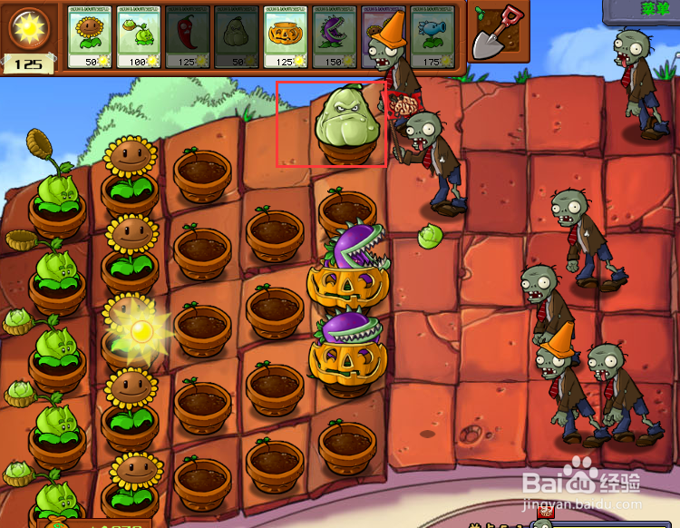 植物大战僵尸屋顶模式攻略