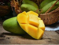 芒果不适合哪些人群