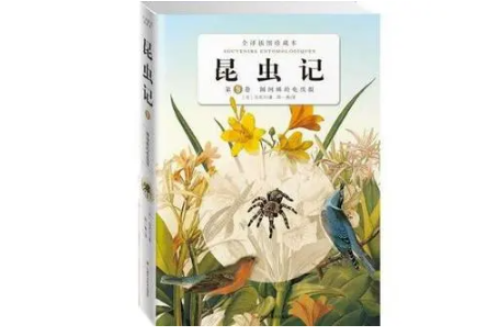 法布尔称赞什么的建筑才能