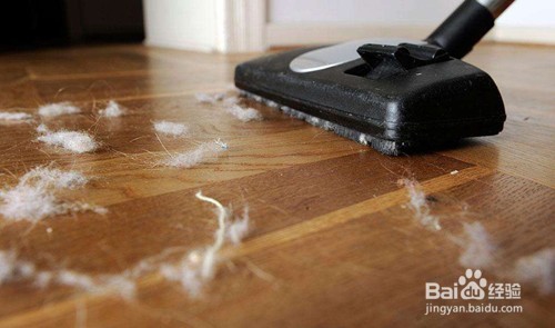 英短总是流眼泪,英短总是流眼泪眨眼睛