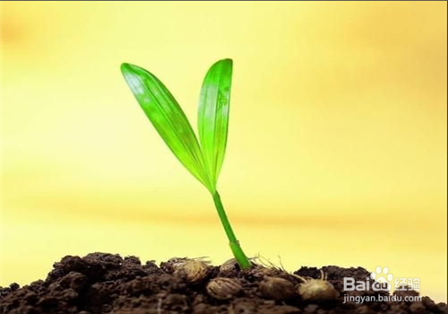 今年高考，你准备好了吗？