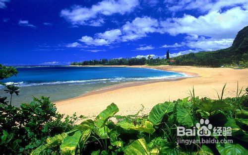 去泰国旅游注意事项